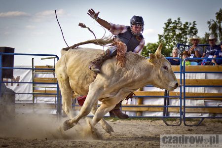 Bull Riding 2015
