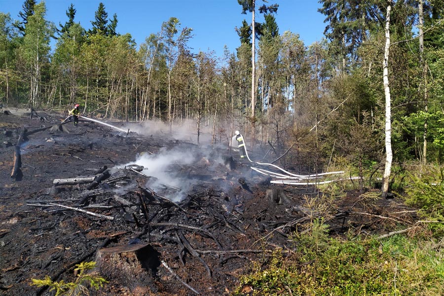 Pożar lasu w Wieściszowicach