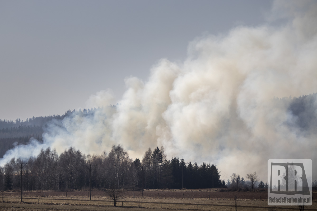 Pożar w Chełmsku Śląskim
